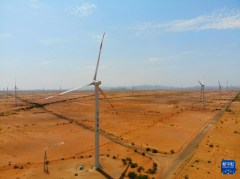 进博会作为中埃塞贸易与合作的重要桥梁