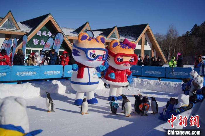 亚布力滑雪节盛大启幕，全面升级迎接亚冬会，