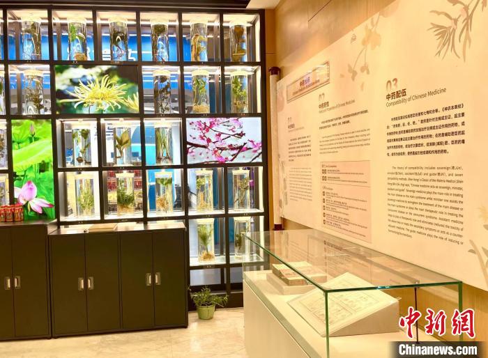 中医药文化在亚运赛场绽放异彩